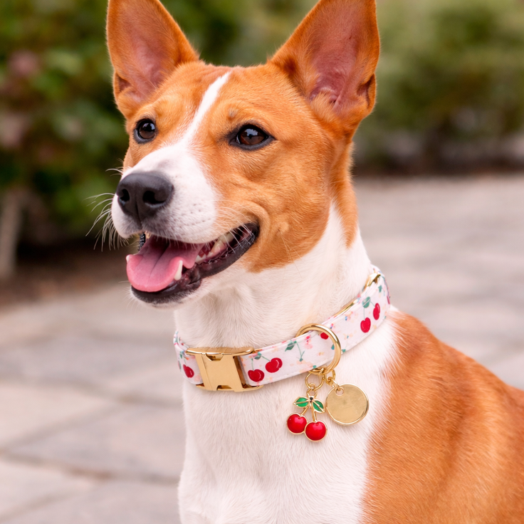 Tutti Frutti Collar