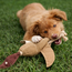 ECO Dog Toy — Jute Duck