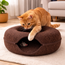 Interactive Cat Tunnel