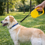 Finn Retractable Leash